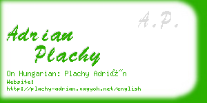 adrian plachy business card